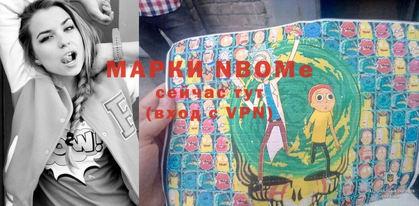 шишки Алексин
