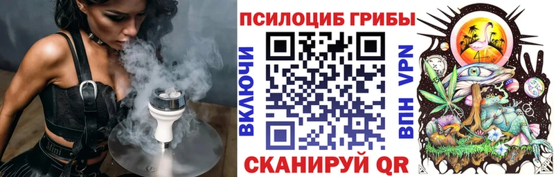 что такое   Дзержинский  mega ONION  Псилоцибиновые грибы прущие грибы 